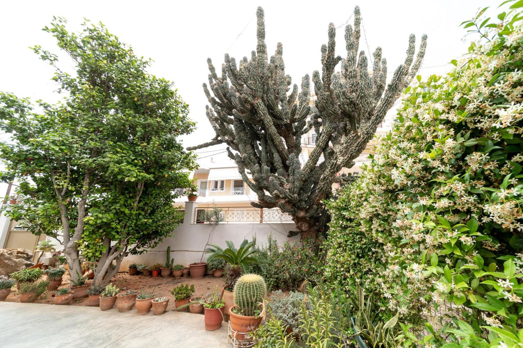 Cactus - Blooming Garden Apartments Каламата Экстерьер фото